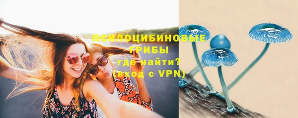 винт Коряжма