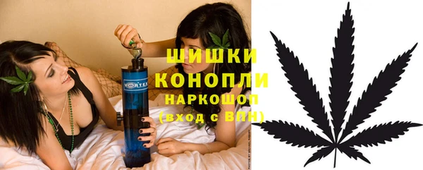 ПСИЛОЦИБИНОВЫЕ ГРИБЫ Козловка
