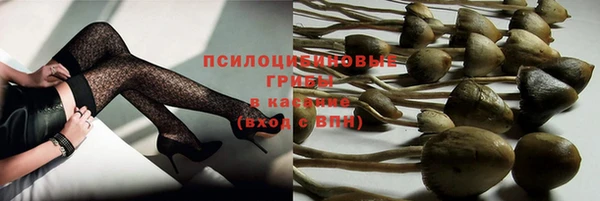 СК Кодинск