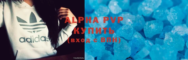 ПСИЛОЦИБИНОВЫЕ ГРИБЫ Козловка