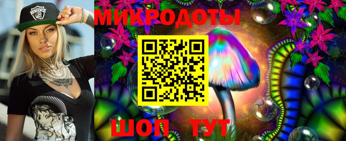 Лесосибирск  Галлюциногенные грибы мухоморы  Вход с VPN 