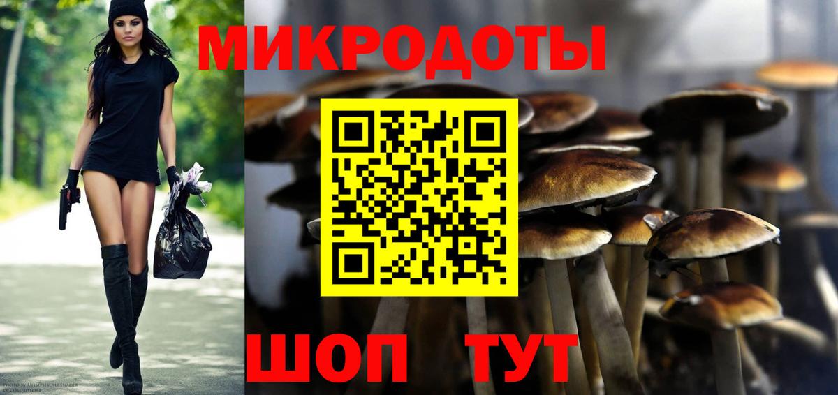 Галлюциногенные грибы Psilocybe Лесосибирск